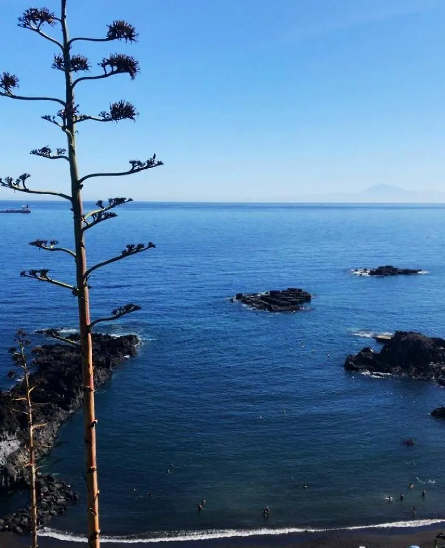 D'Sal Y Arena Lejlighed Breña Baja